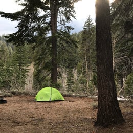 North Canyon Campground 