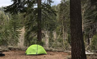 Jason E.'s photo at North Canyon Campground near Glenbrook, NV
