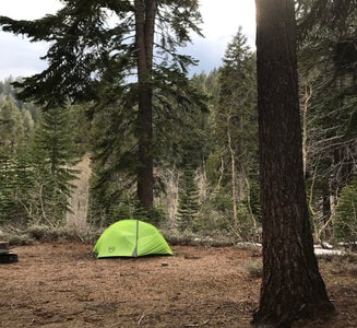Camper-submitted photo from North Canyon Campground 