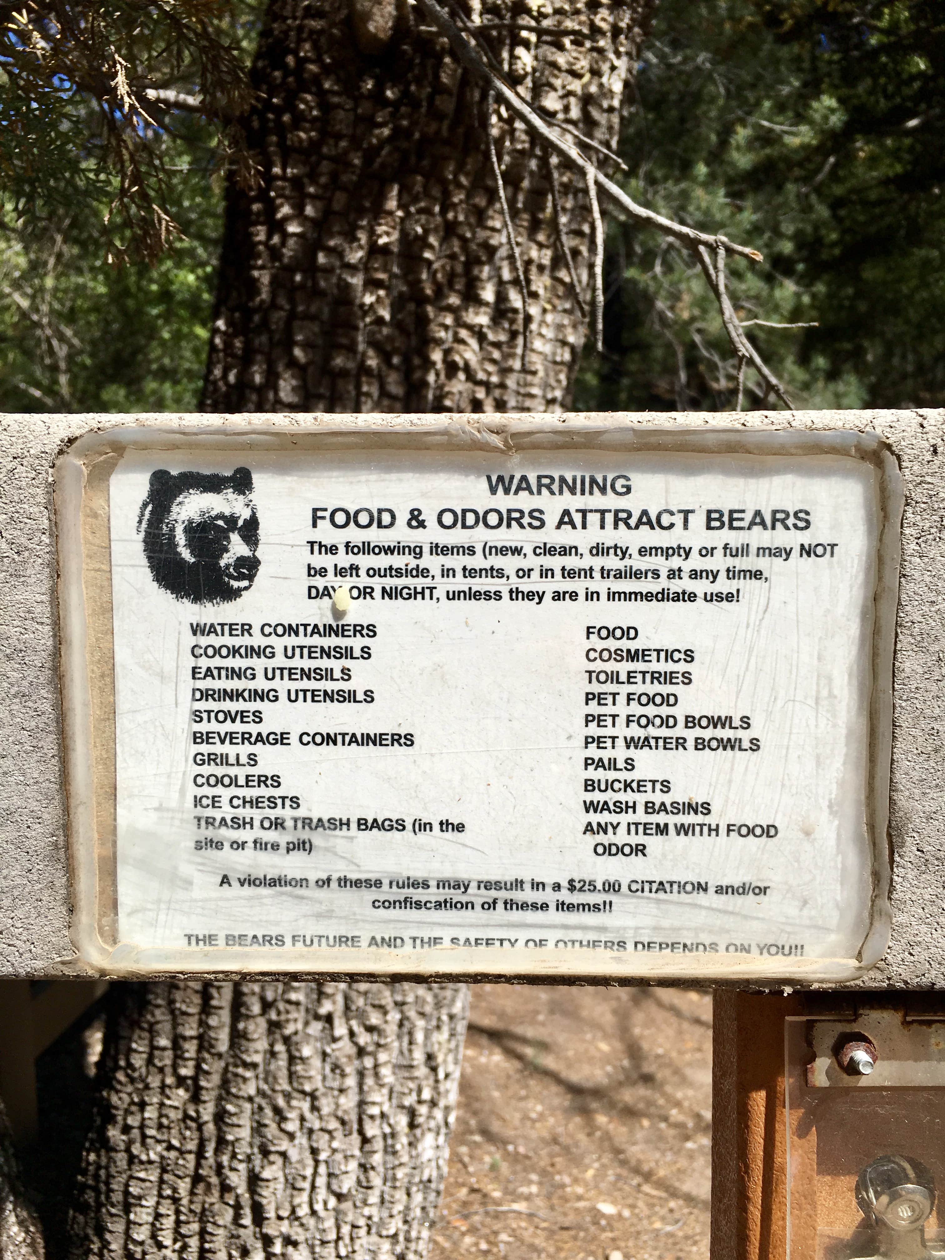 Camper submitted image from Bonita Canyon Campground — Chiricahua National Monument - 5