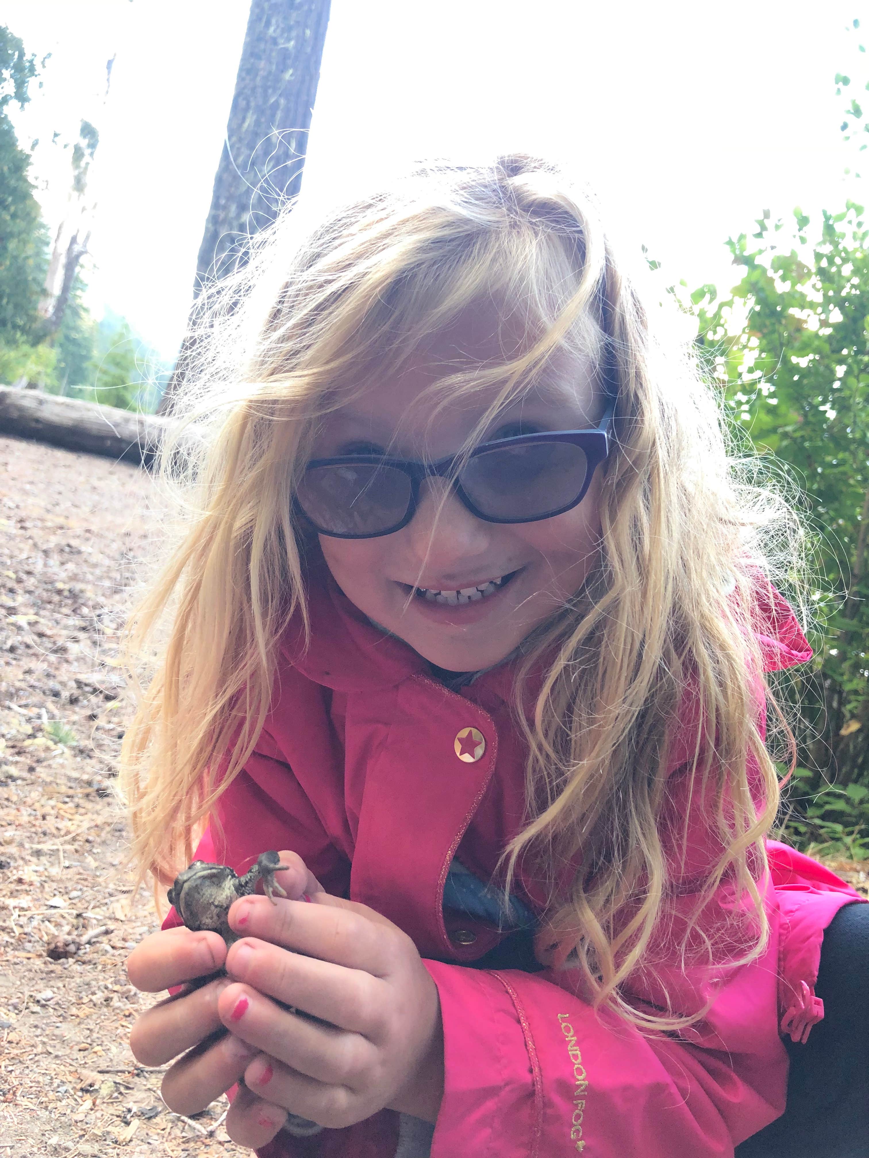 Camper-submitted photo at Packwood Lake near Packwood, WA