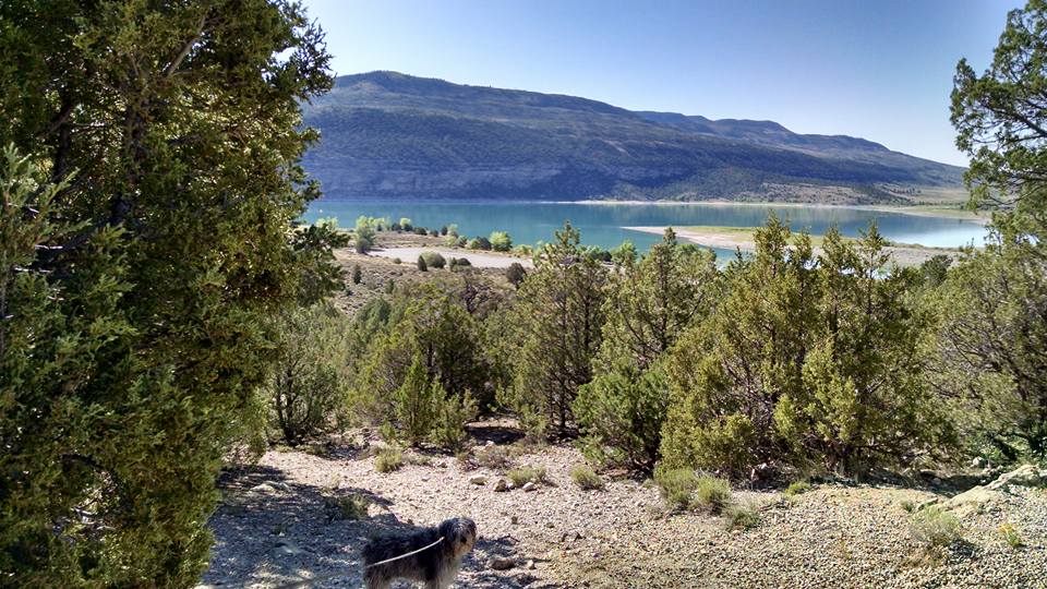 Camper submitted image from Joes Valley Reservoir - 5
