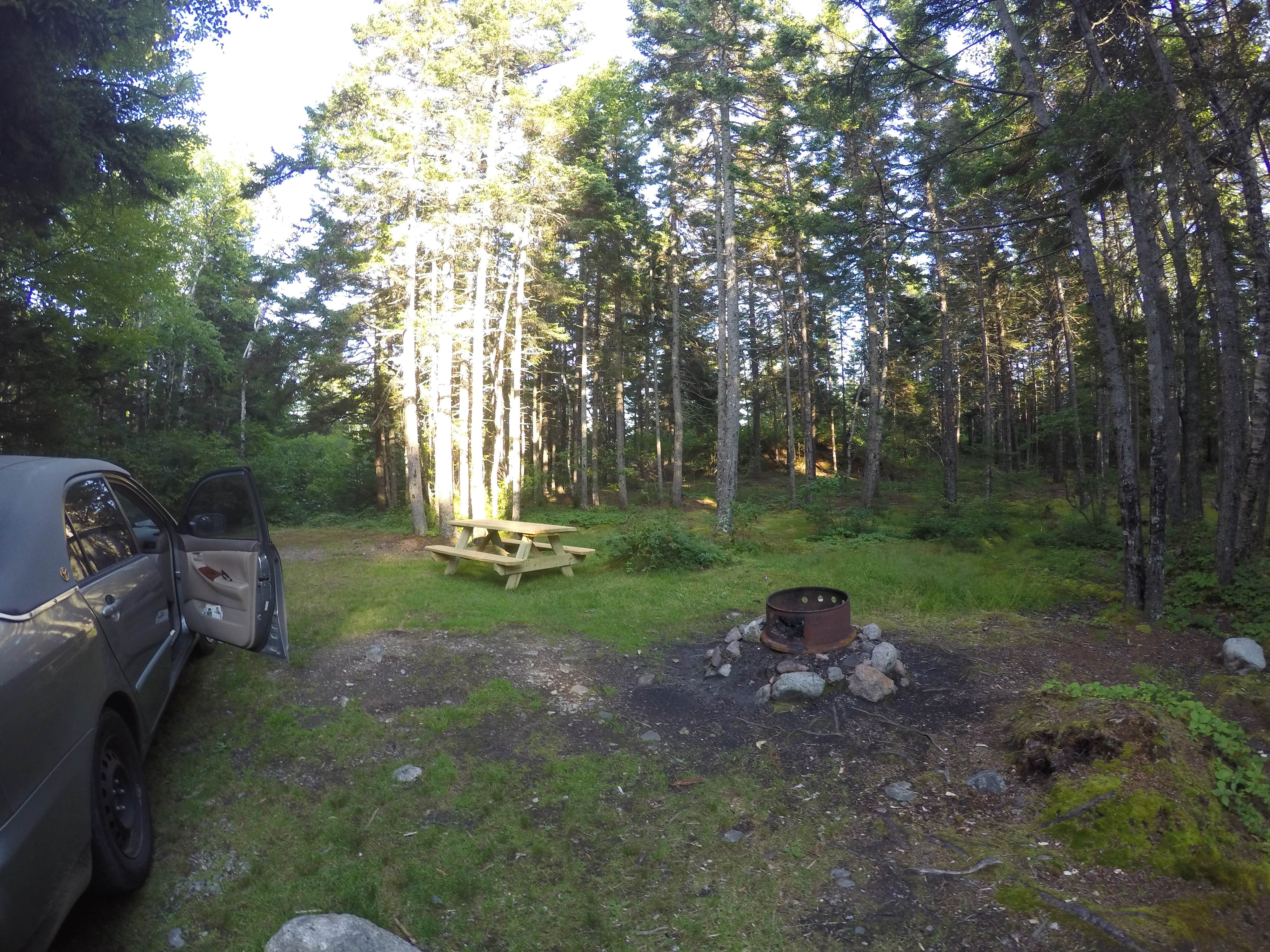 Camper submitted image from McClellan Park - 2
