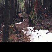 Review photo of Barclay Lake by Shariah T., June 2, 2019