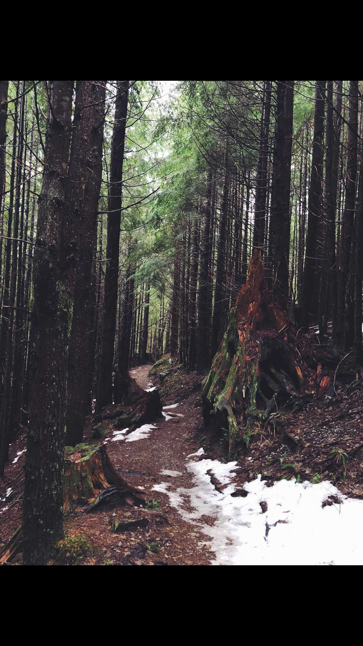 Camper submitted image from Barclay Lake - 4