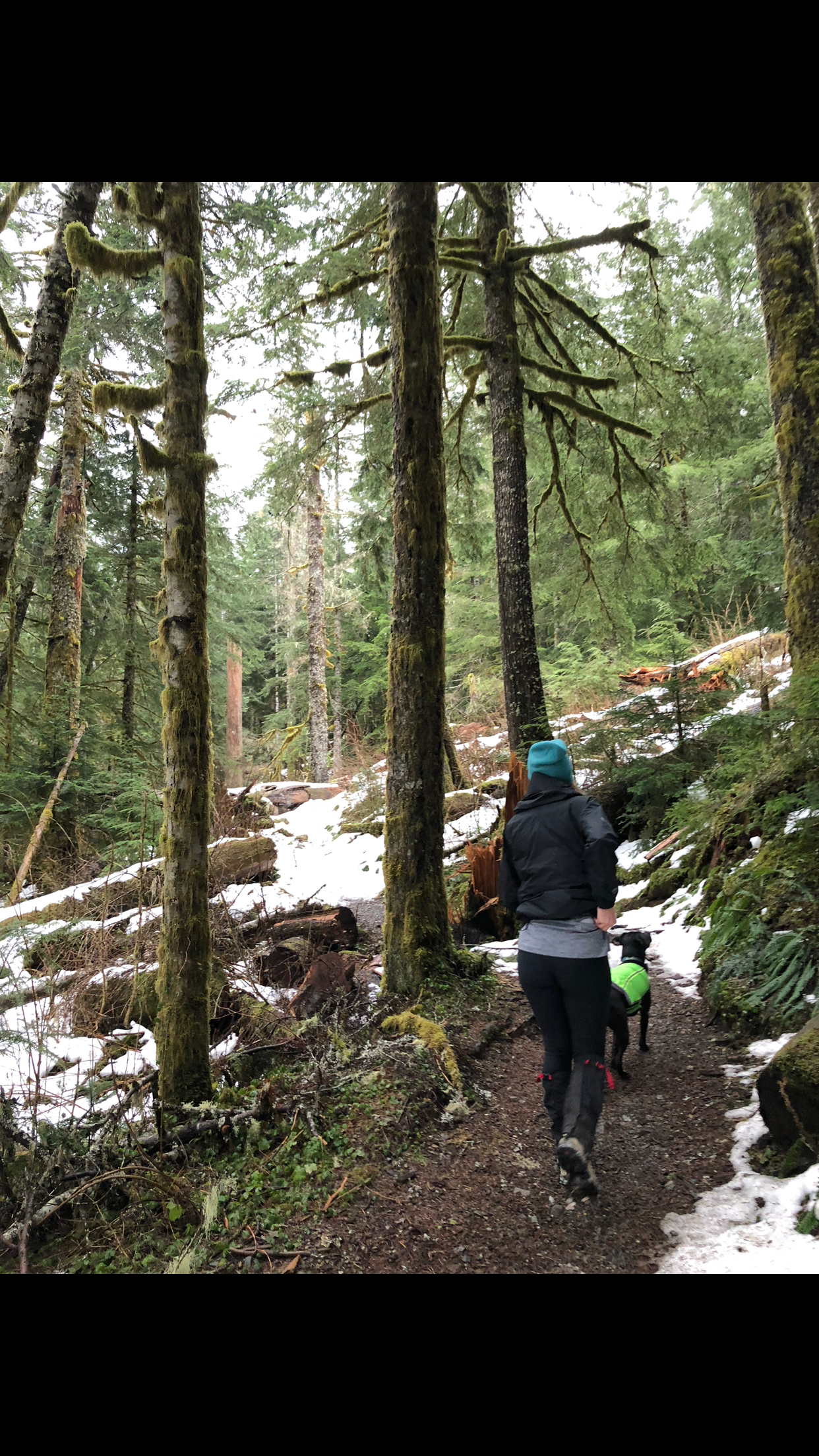 Camper submitted image from Barclay Lake - 1