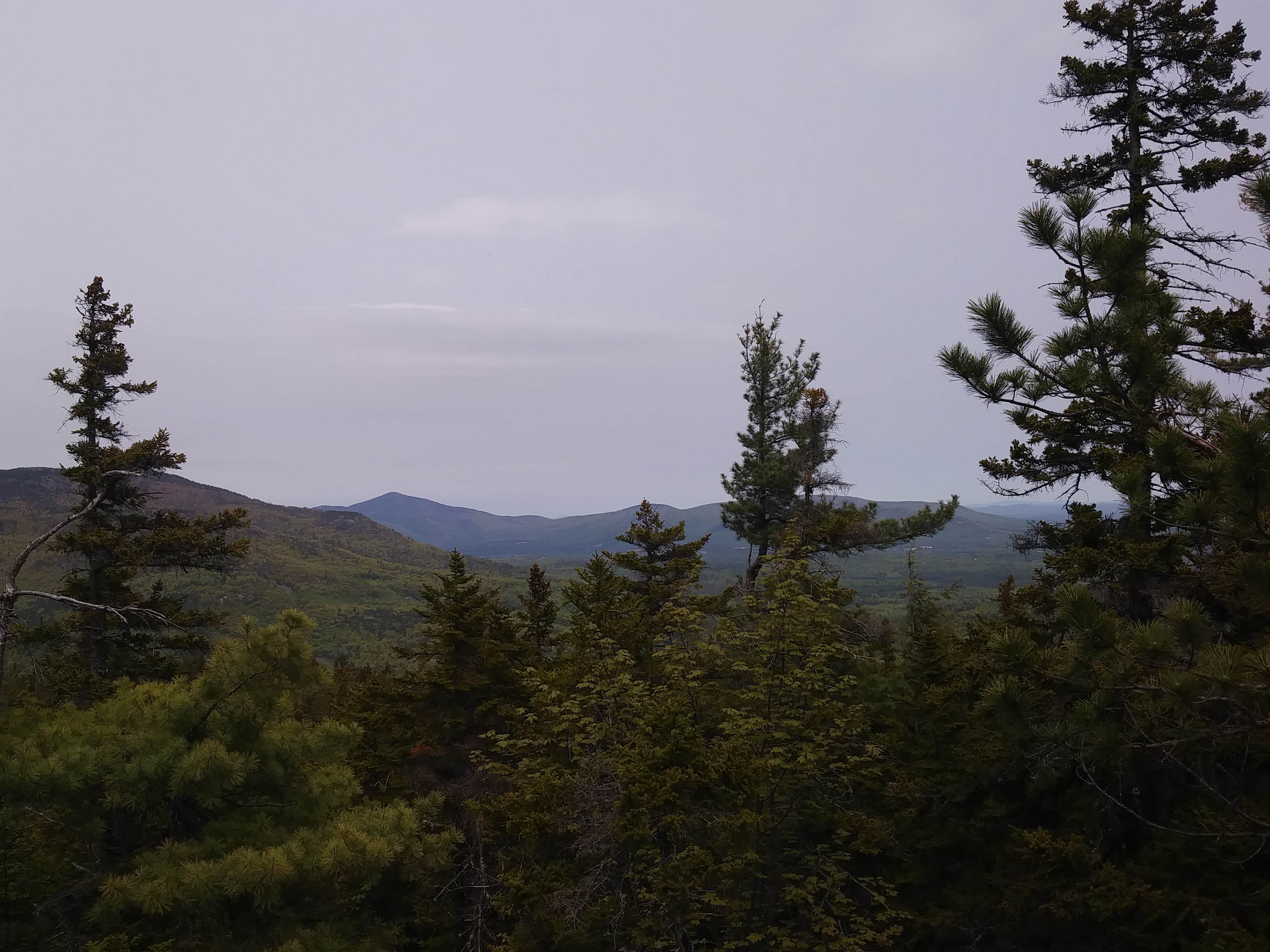 Nature