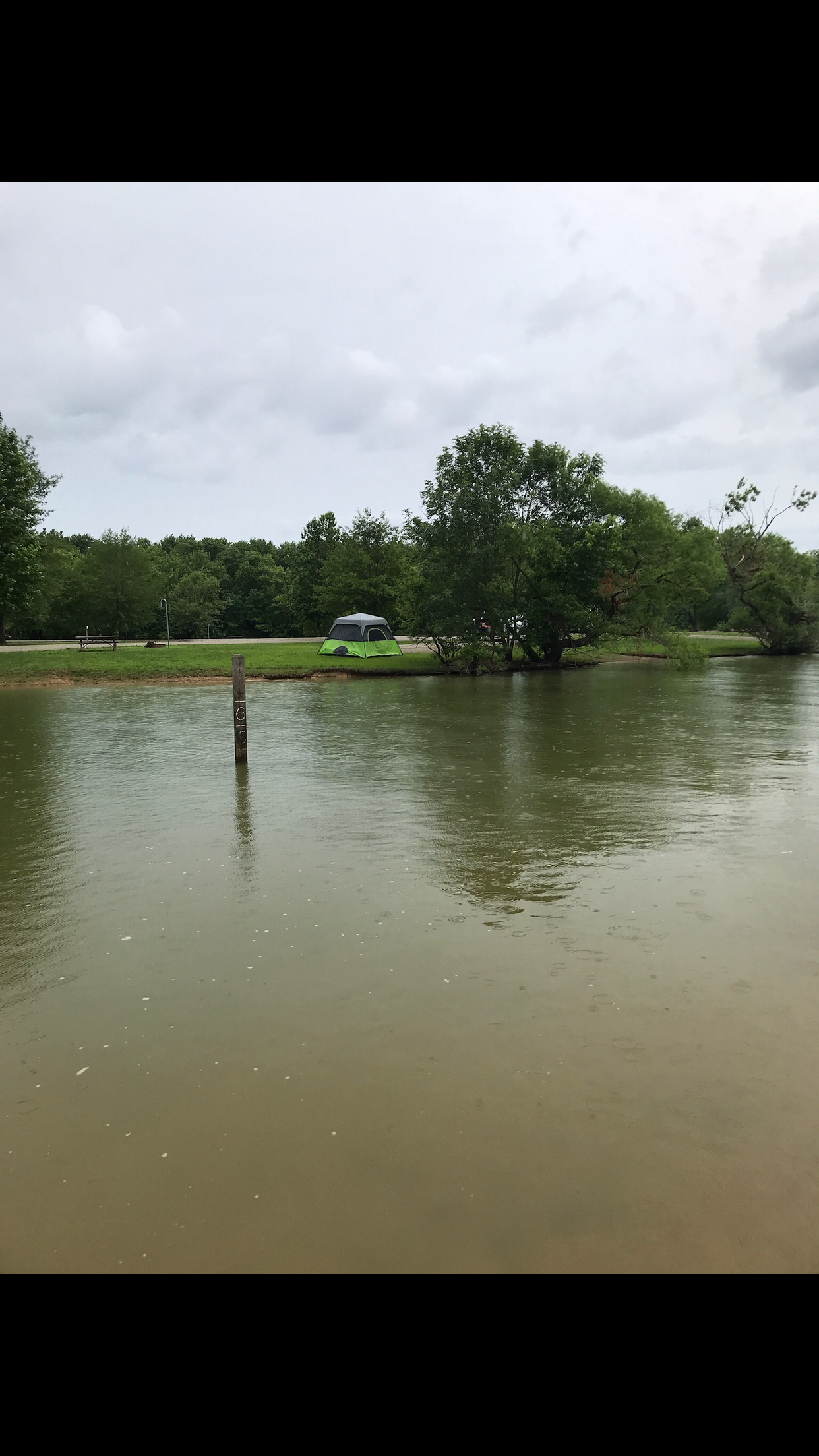 Camper-submitted photo at Pikes Ridge - Green River Lake near Stanford, KY