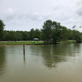Review photo of Pikes Ridge - Green River Lake by Kenny P., June 2, 2019