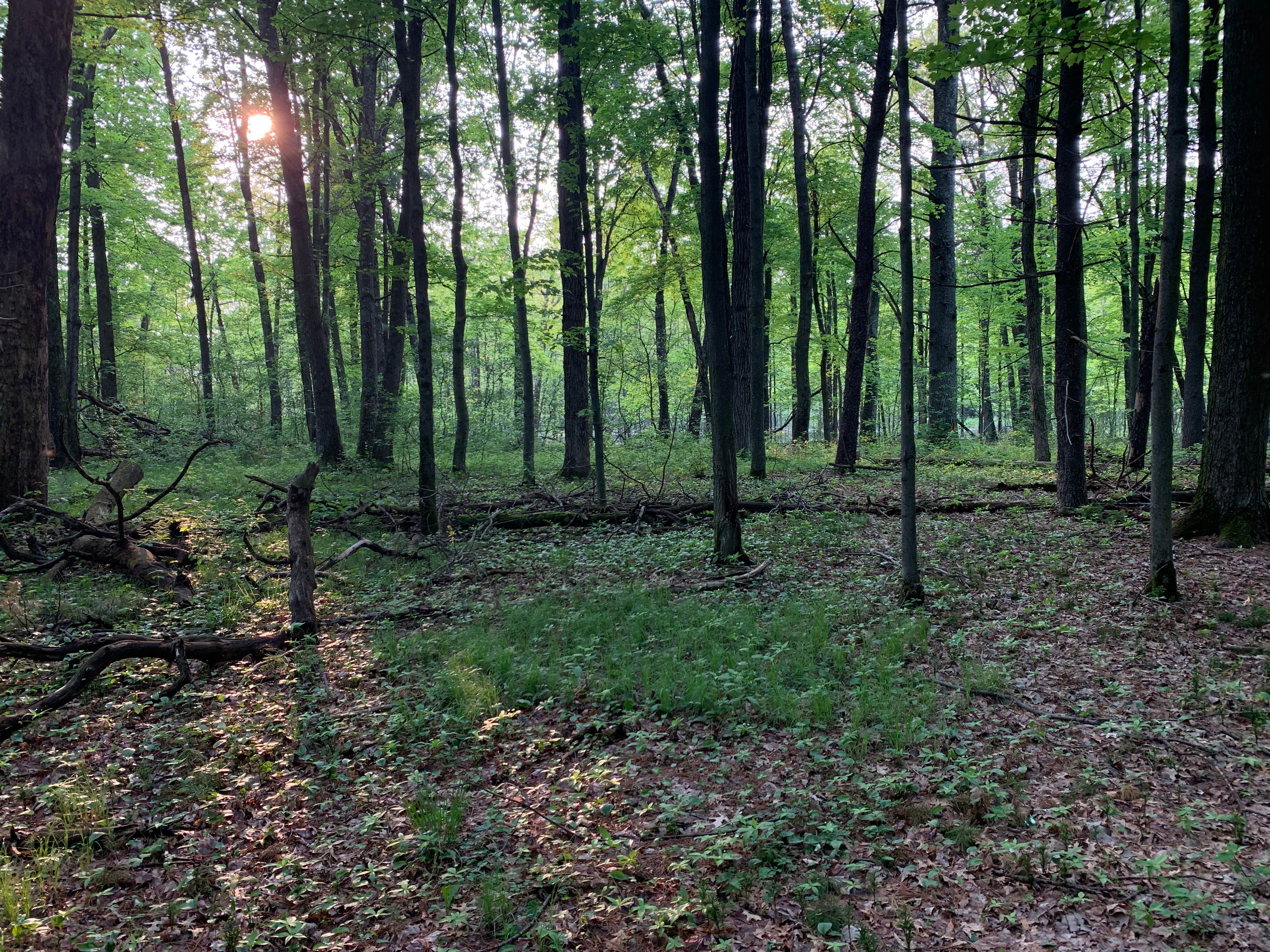 Camper-submitted photo at Jordan Park near Iola, WI