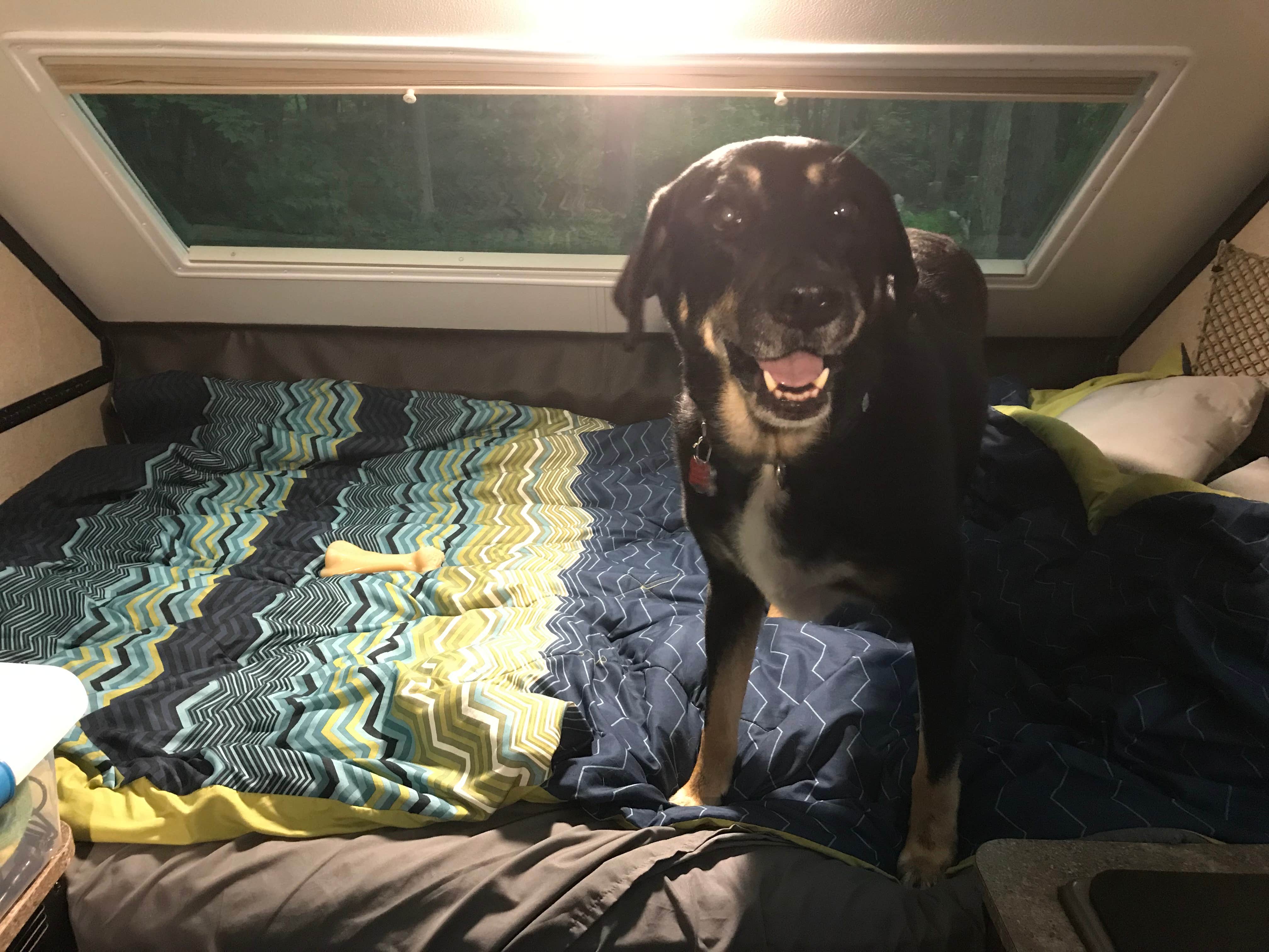 Shannon G.'s photo of glamping accommodations at Delaware State Park Campground near Lockbourne, OH