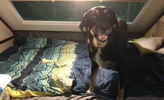 Shannon G.'s photo of glamping accommodations at Delaware State Park Campground near Powell, OH