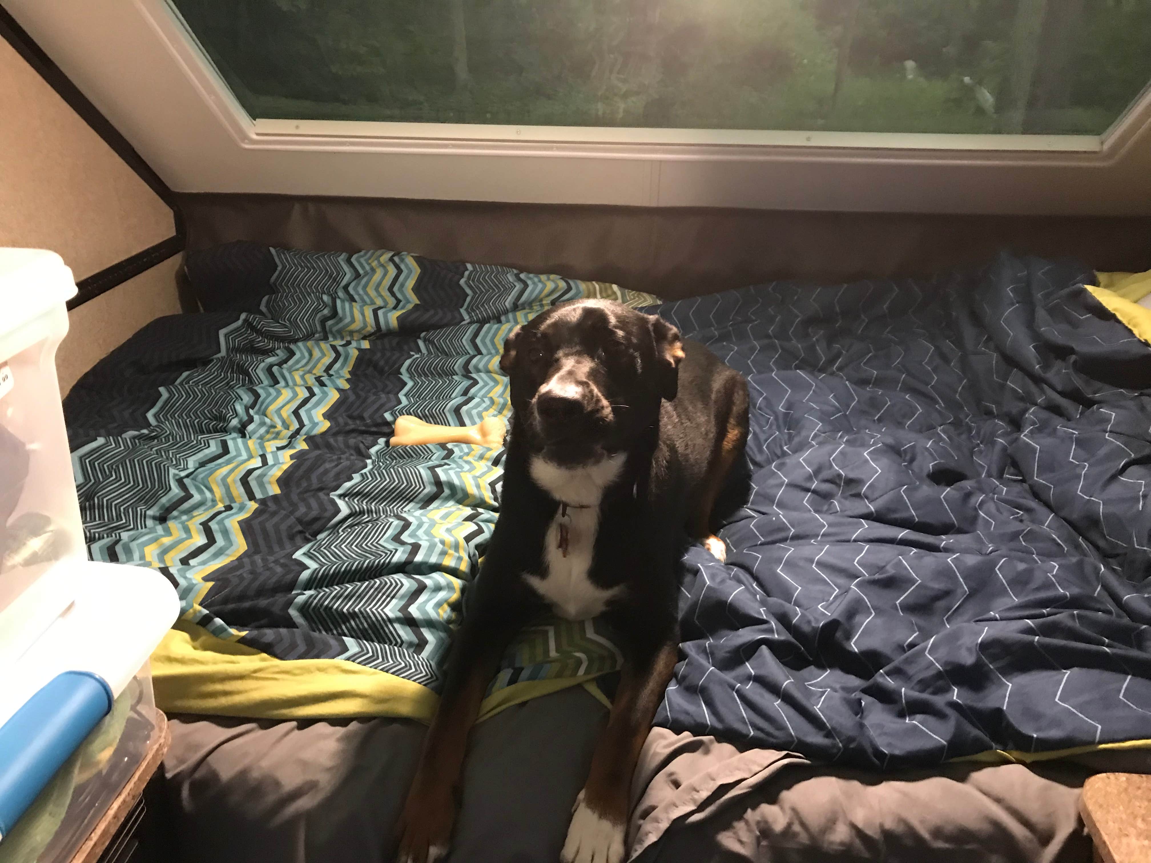 Shannon G.'s photo of glamping accommodations at Delaware State Park Campground near Lucas, OH