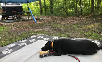 Shannon G.'s photo of camping with pets at Delaware State Park Campground near Carey, OH