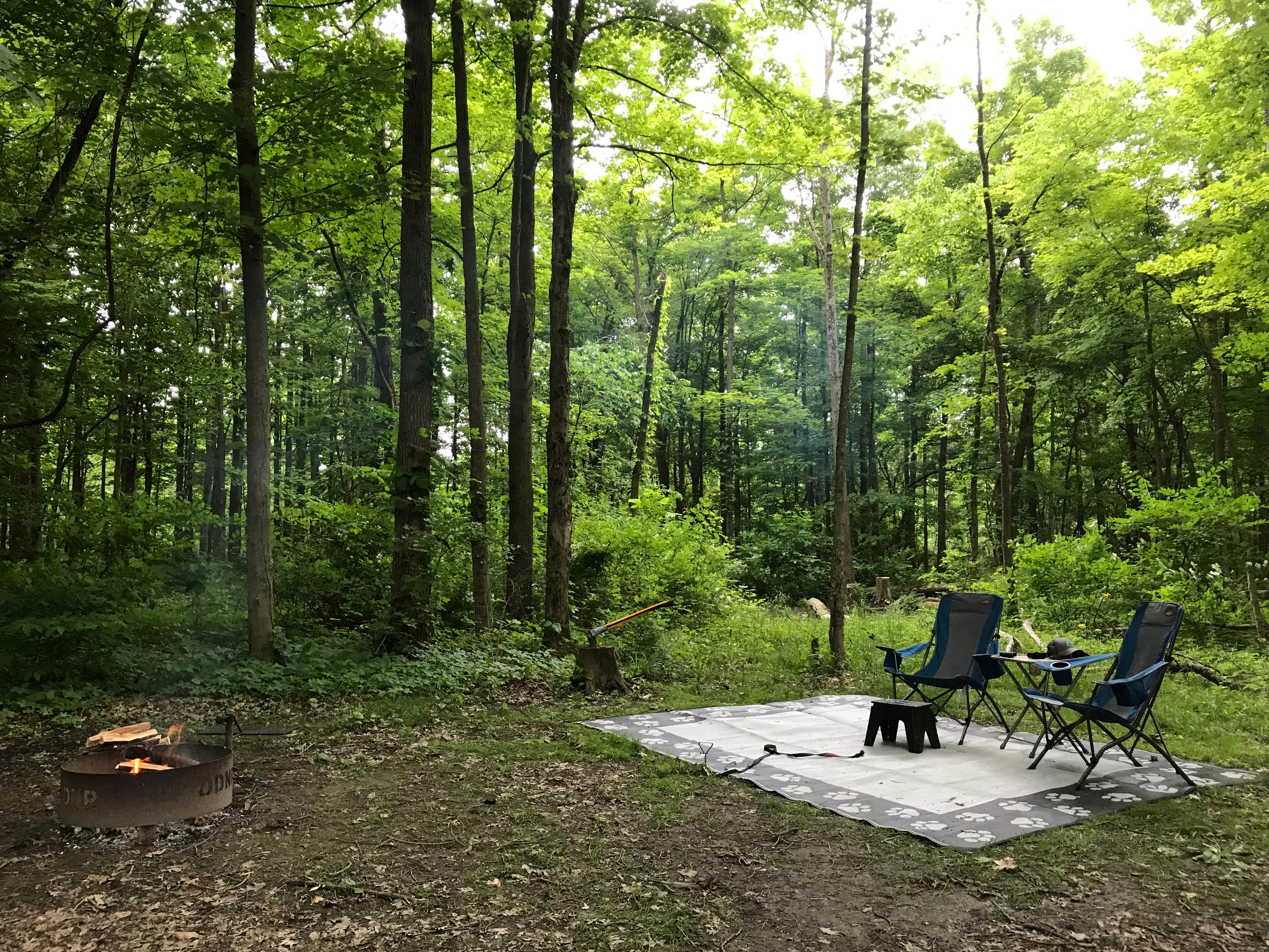 Shannon G.'s photo at Delaware State Park Campground near Mount Gilead, OH