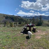 Review photo of Blue River Campground (Co) — White River National Forest by Matt & Ashley S., June 2, 2019