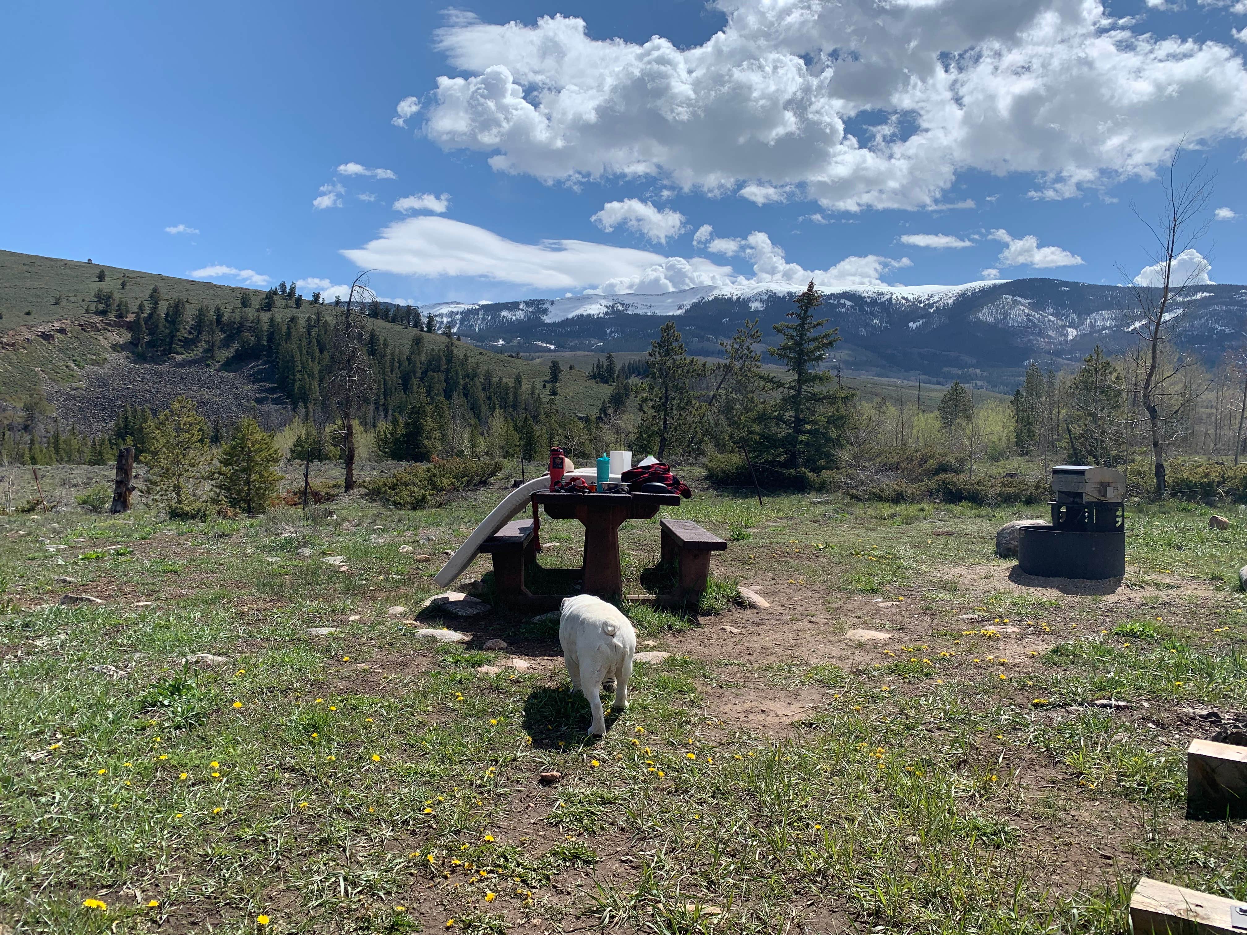 Camper submitted image from Blue River Campground (Co) — White River National Forest - 2