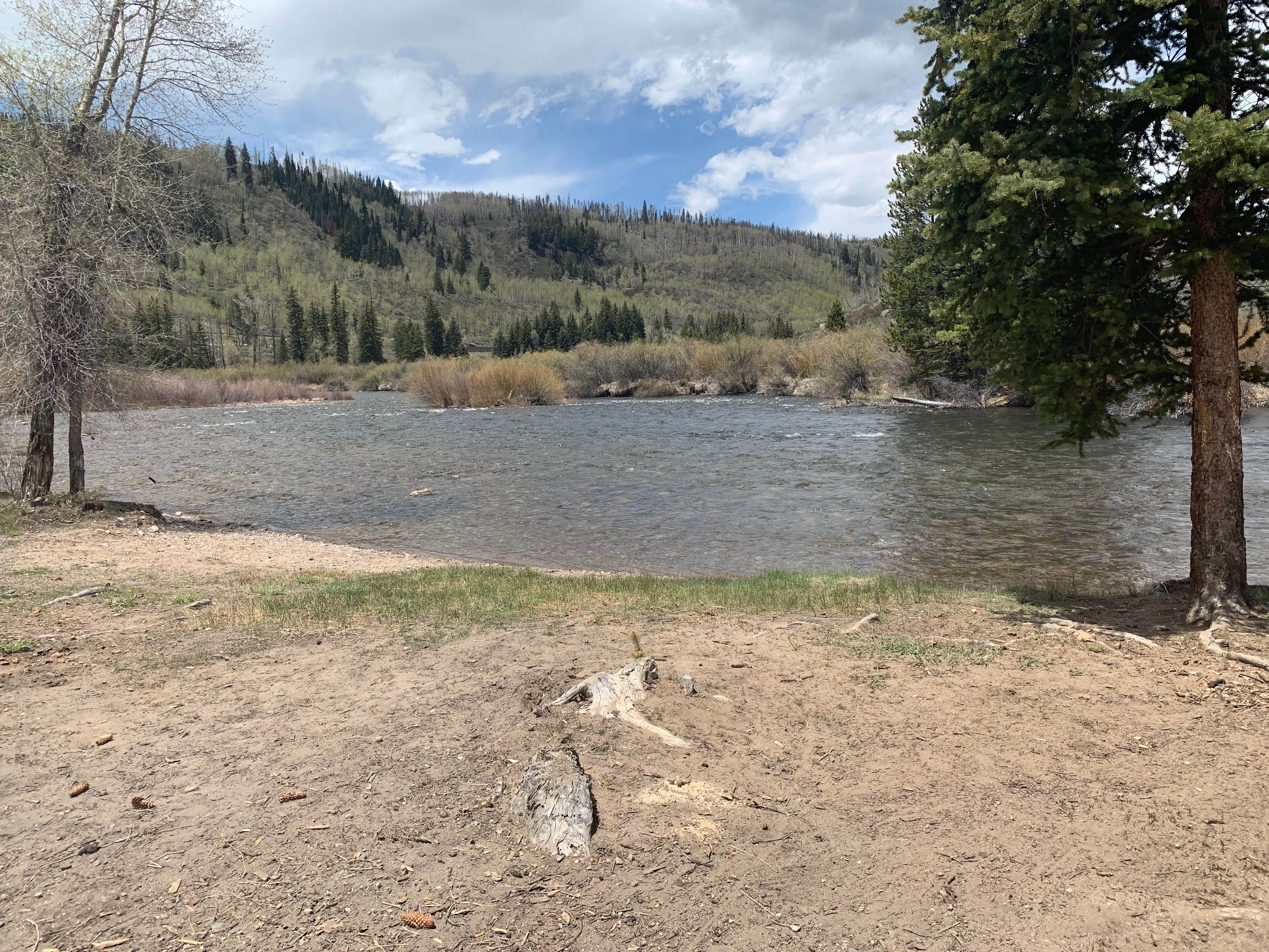 Camper submitted image from Blue River Campground (Co) — White River National Forest - 3