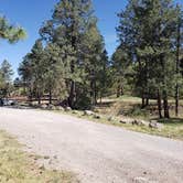 Review photo of James Canyon Campground by Brittany S., June 2, 2019
