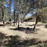 Review photo of James Canyon Campground by Brittany S., June 2, 2019