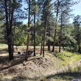 Review photo of James Canyon Campground by Brittany S., June 2, 2019