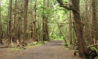 Camping near Mosquito Creek — Olympic National Park: Bogachiel State Park Campground, Forks, Washington