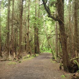 Bogachiel State Park Campground