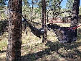 Hammock camping for the win!