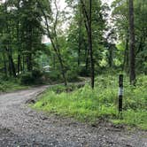 Review photo of Worthington State Forest Campground — Delaware Water Gap National Recreation Area by Stephanie M., June 2, 2019
