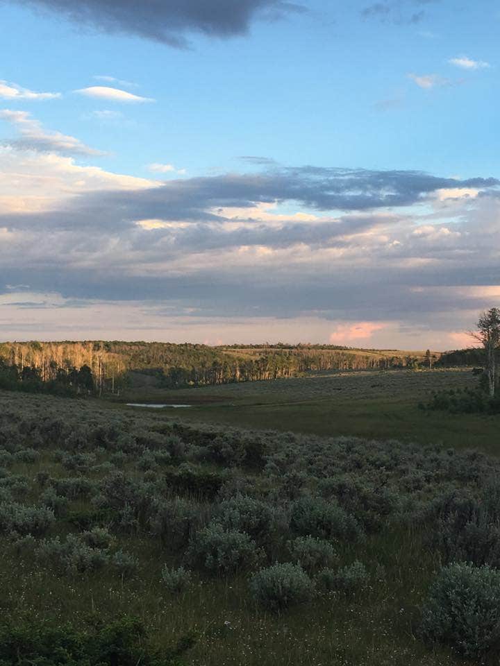 Camper submitted image from Iron Springs Group Campground - Ashley National Forest - 2