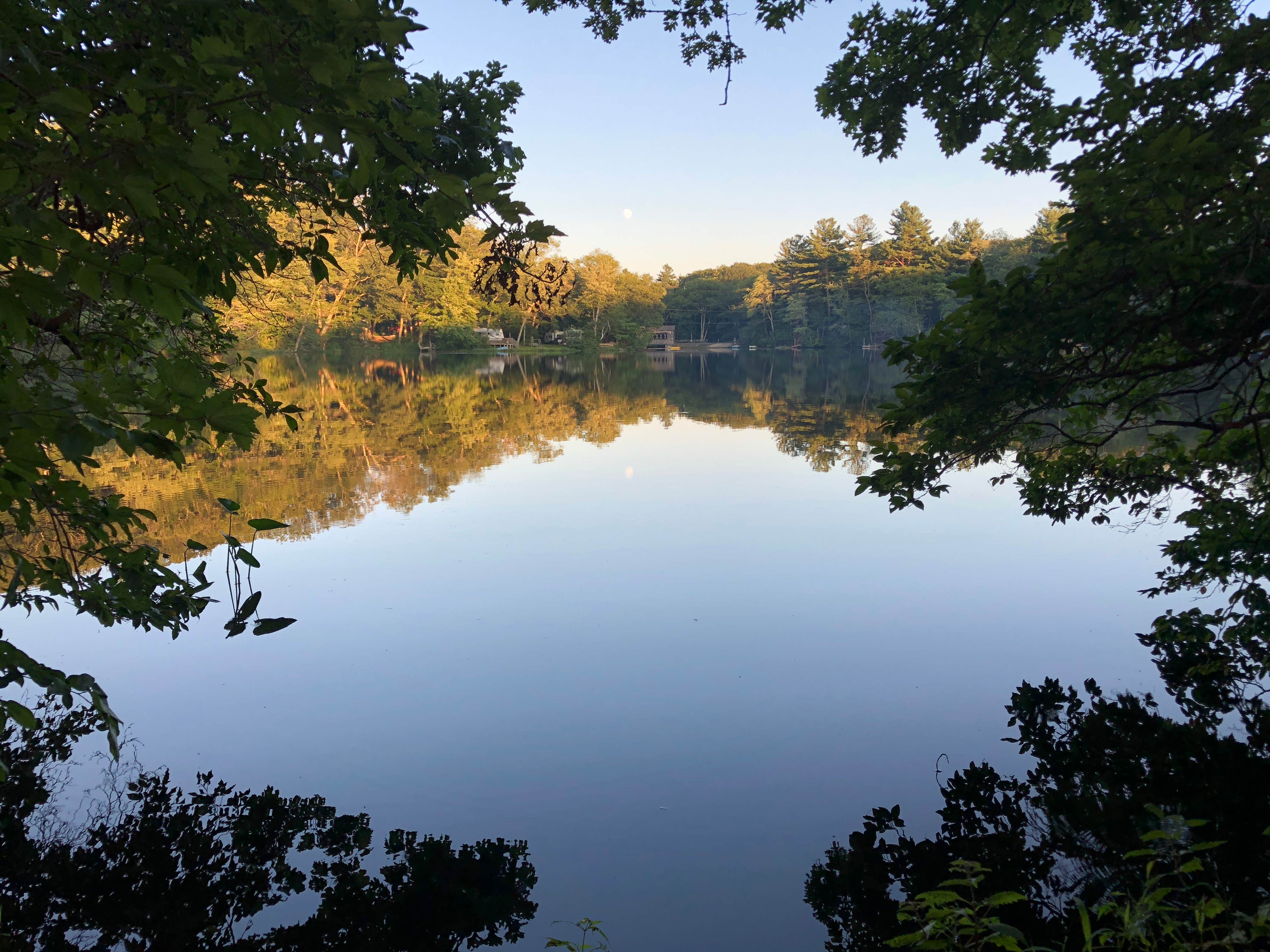 Camper submitted image from Sutton Falls Camping Area - 2