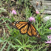 Review photo of Salisbury Beach State Reservation by Stephanie M., June 2, 2019