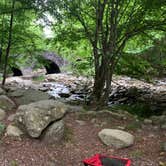 Review photo of Elkmont Campground — Great Smoky Mountains National Park by Sarah M., June 2, 2019