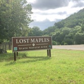 Review photo of Lost Maples State Natural Area by Megan  E., June 2, 2019