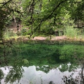Review photo of Lost Maples State Natural Area by Megan  E., June 2, 2019