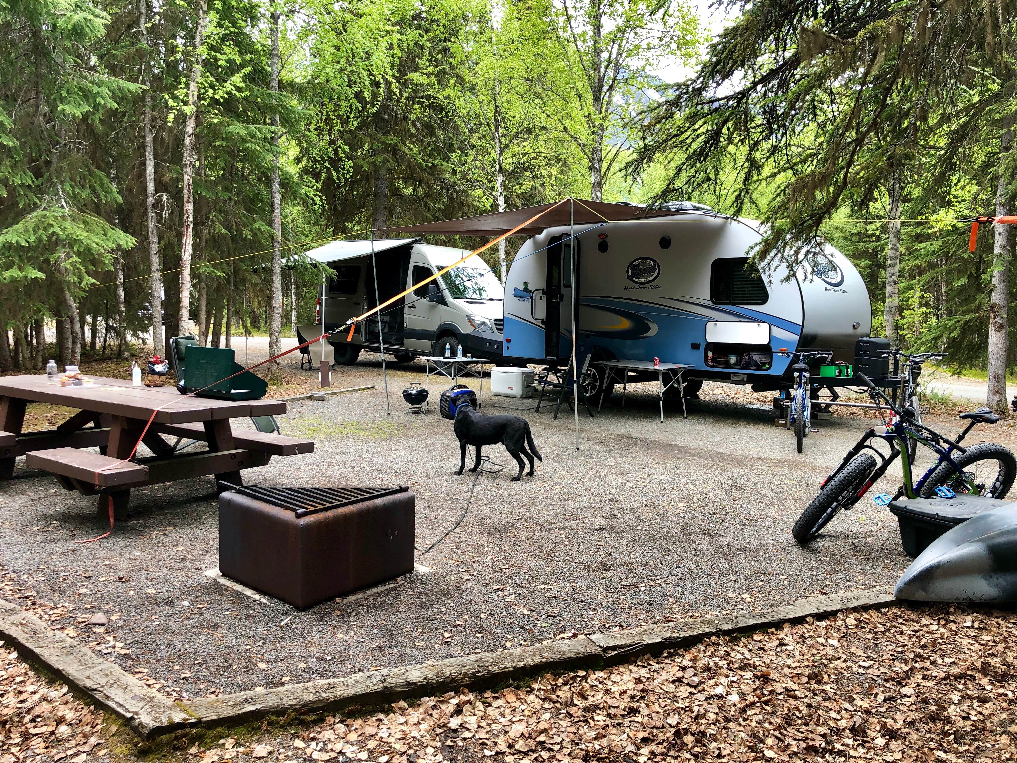 Camper submitted image from Quartz Creek Campground - 4