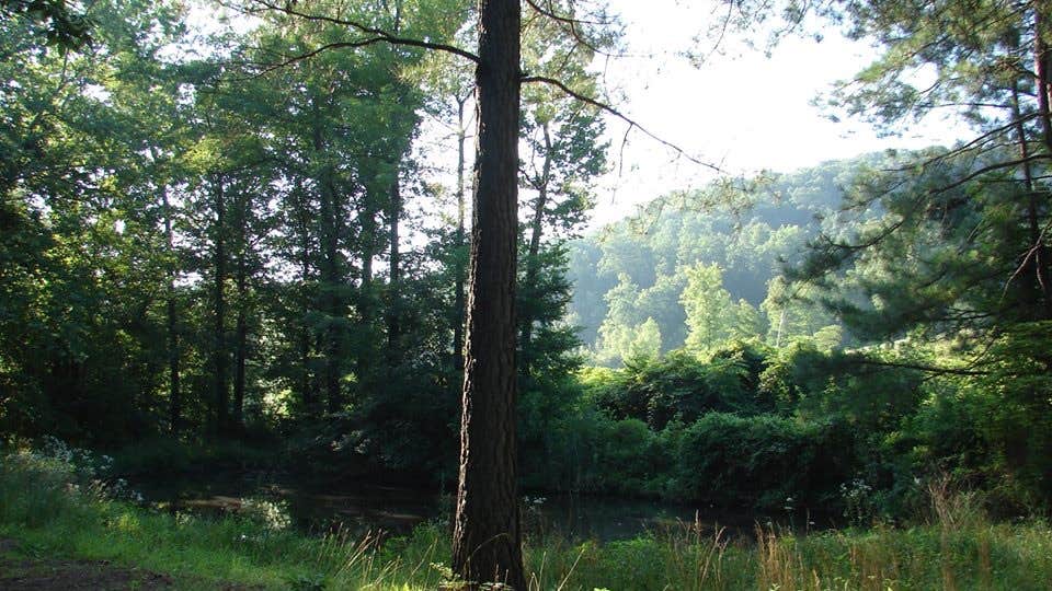 Camping near Byrd's Adventure Center: Camping Kings, Combs, Arkansas