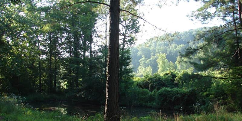 Camper submitted image from Camping Kings