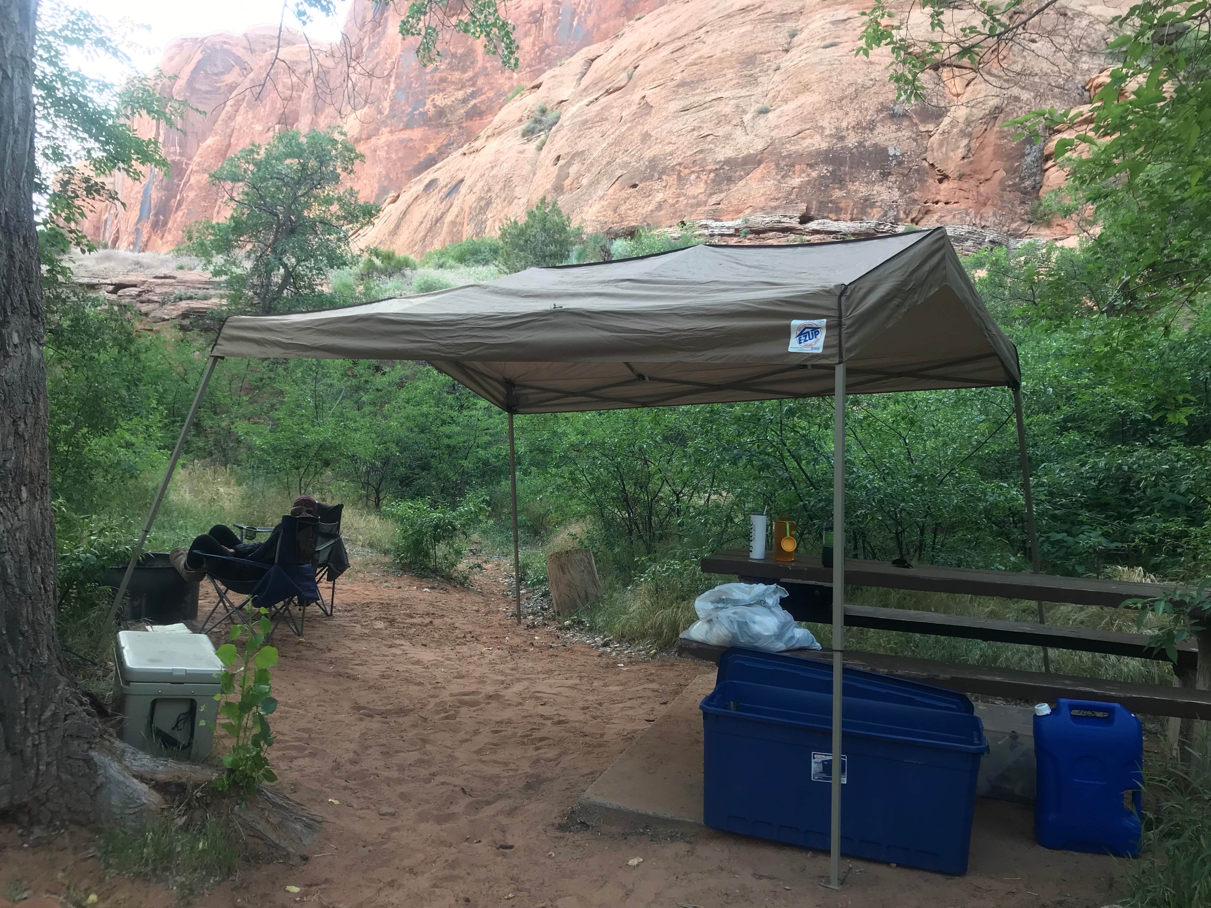 Anthony P.'s photo of tent camping at Jaycee Park Campground near Castle Valley, UT