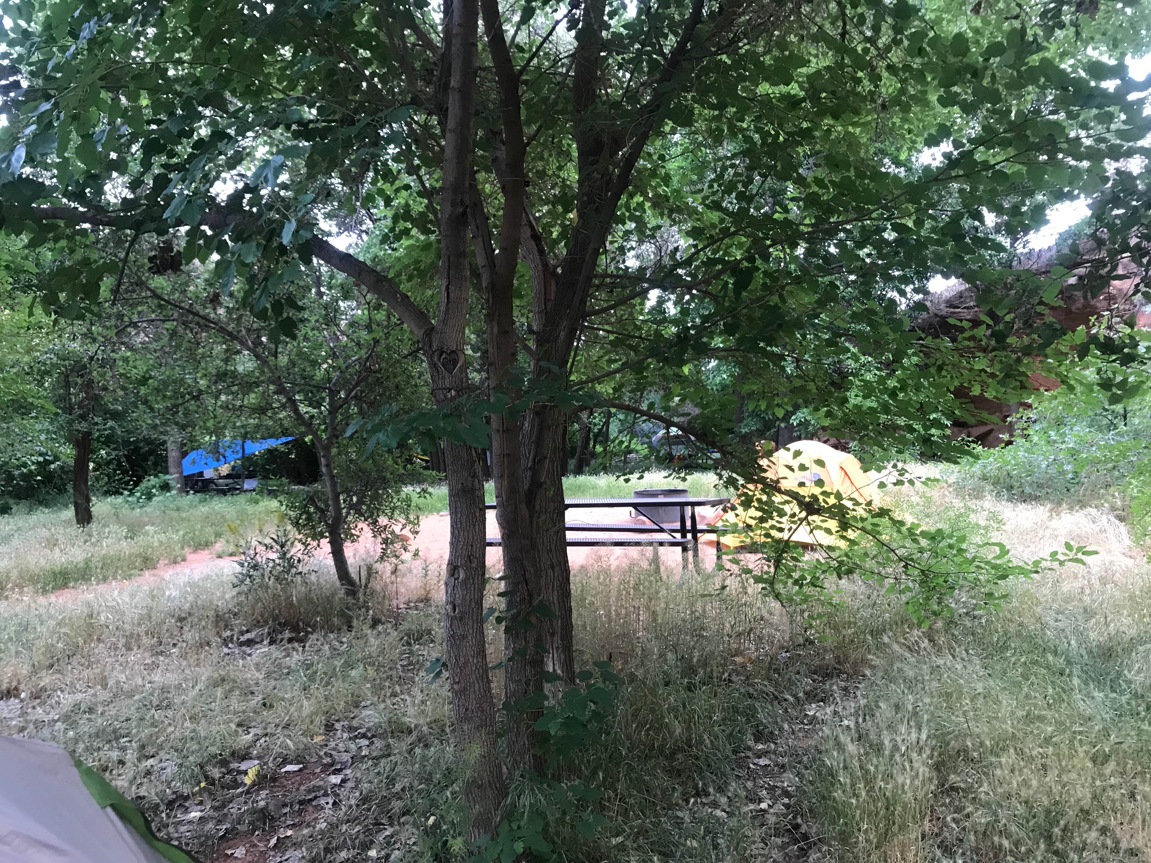 looking back towards other campsites