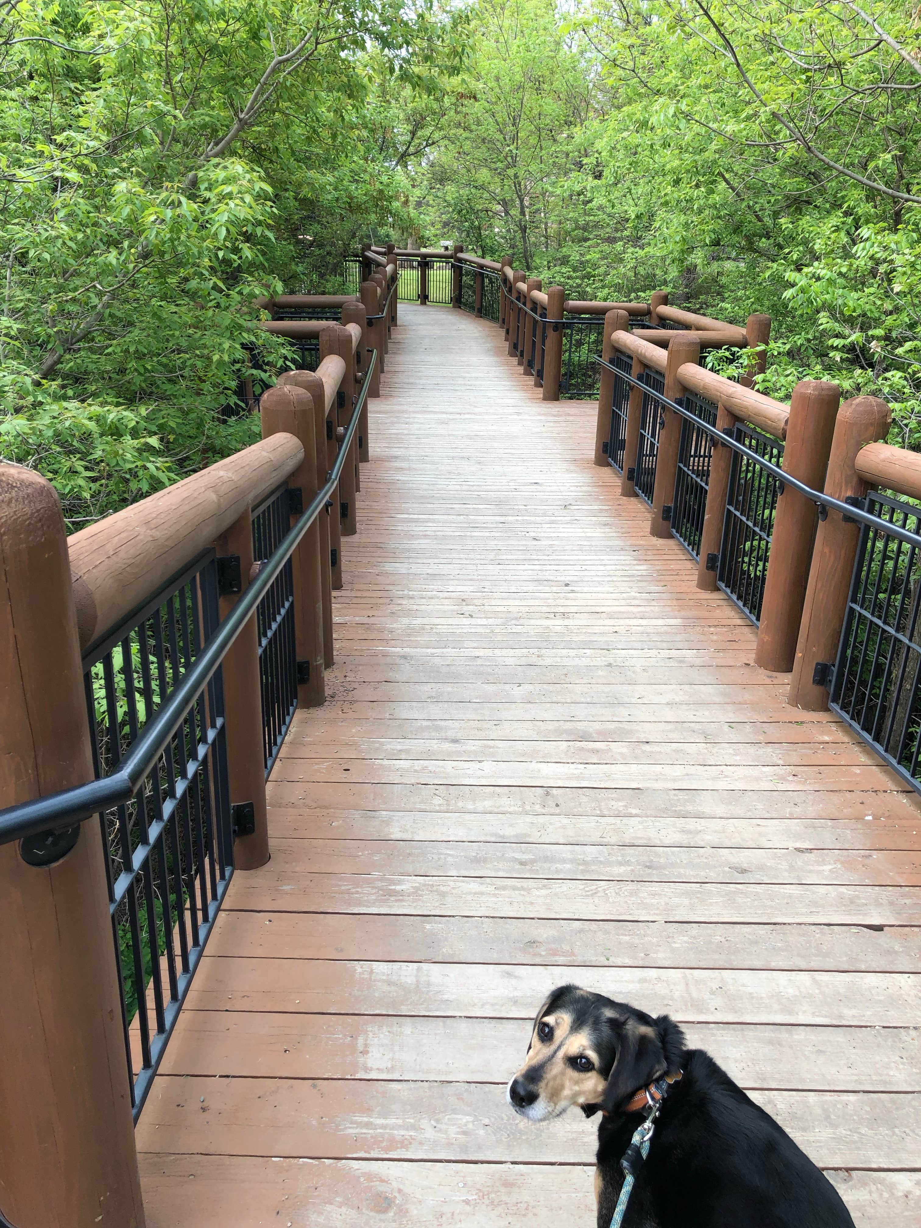 Camper-submitted photo at Fort Abraham Lincoln State Park Campground in North Dakota