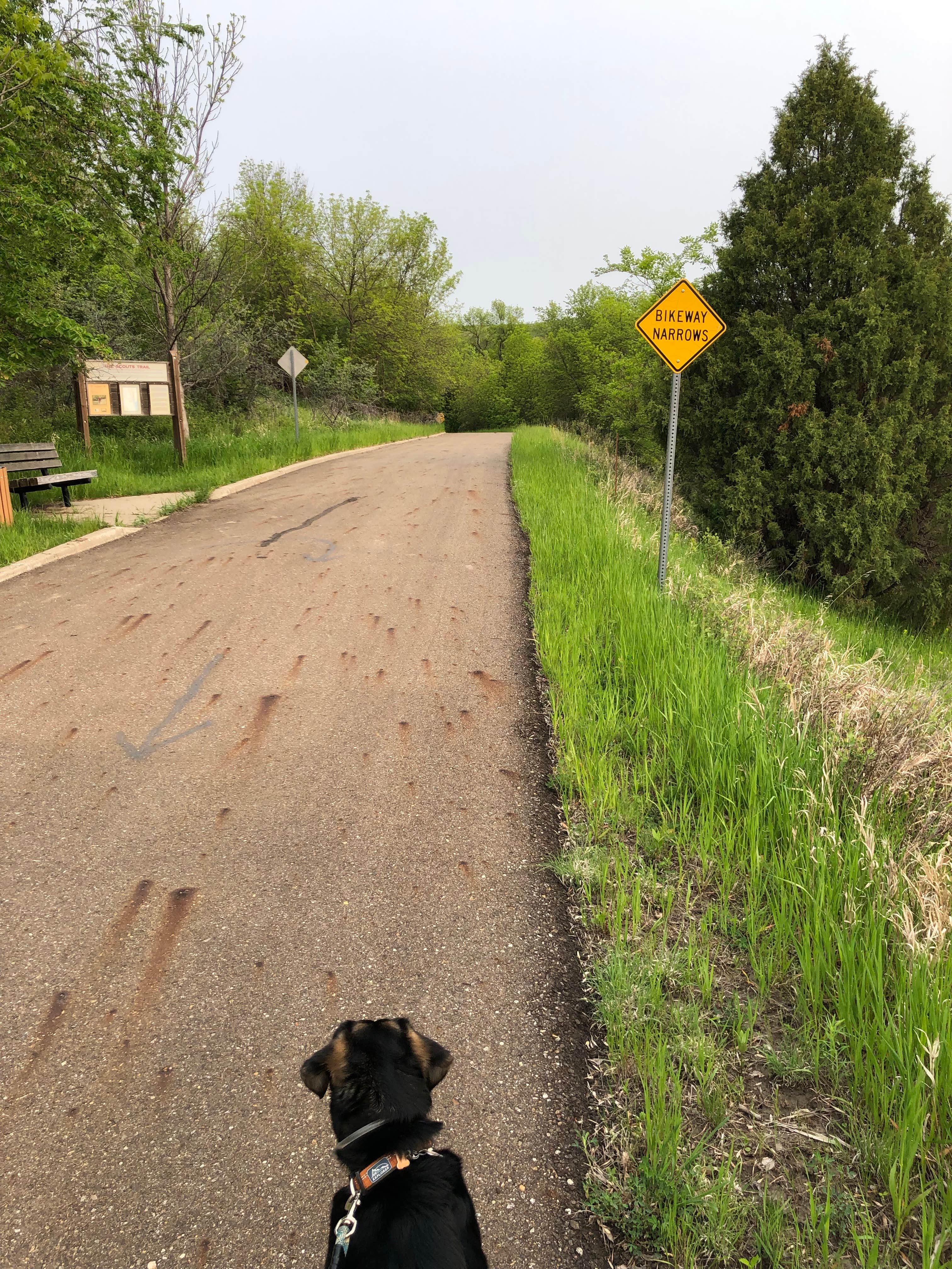 Kyle O.'s photo of camping with pets at Fort Abraham Lincoln State Park Campground near Center, ND