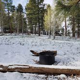 Review photo of North Rim Campground — Grand Canyon National Park by Brittany S., June 3, 2019