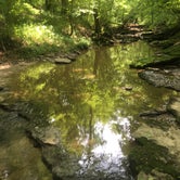 Review photo of East Fork State Park Campground by Liz M., June 3, 2019
