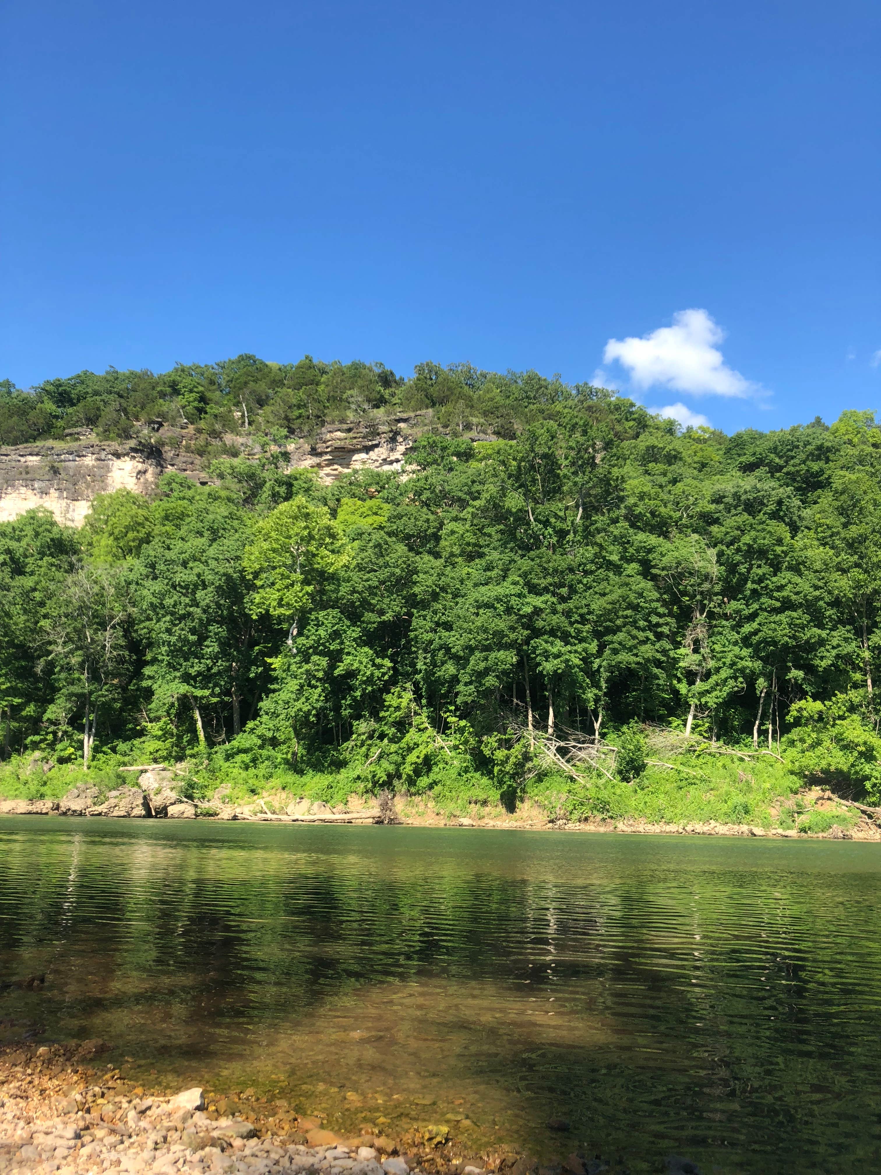 Camper submitted image from Boiling Springs Campground - 3