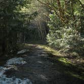 Review photo of Sol Duc Hot Springs Resort Campground — Olympic National Park by Christy K., July 25, 2015