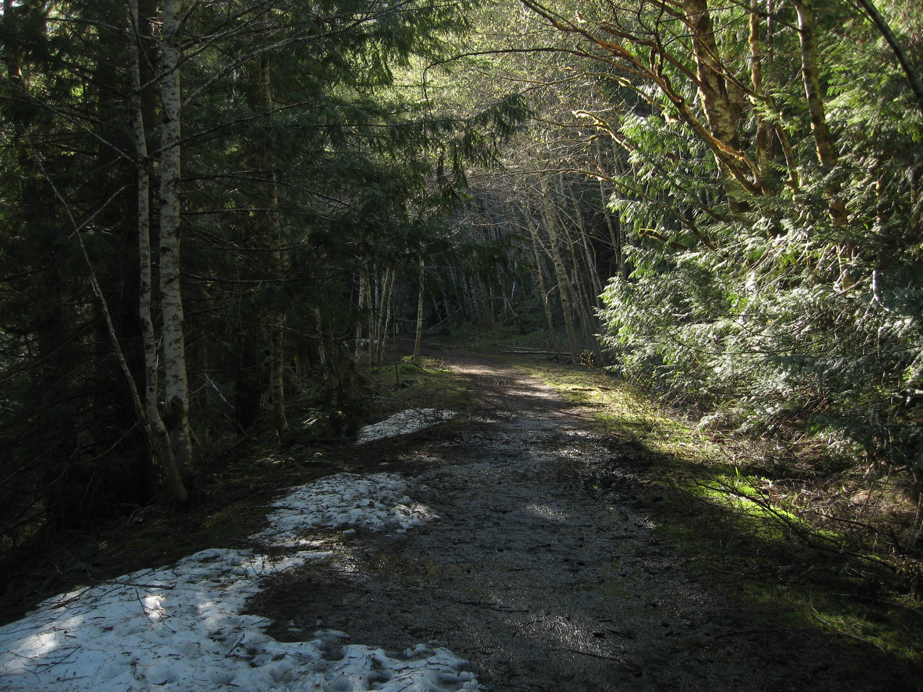 Camper submitted image from Sol Duc Hot Springs Resort Campground — Olympic National Park - 4