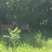 Review photo of Roman Nose State Park — Roman Nose State Resort Park by Richard , June 2, 2019