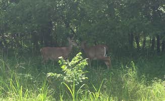 Richard's photo of camping with pets at Roman Nose State Park — Roman Nose State Resort Park in Oklahoma