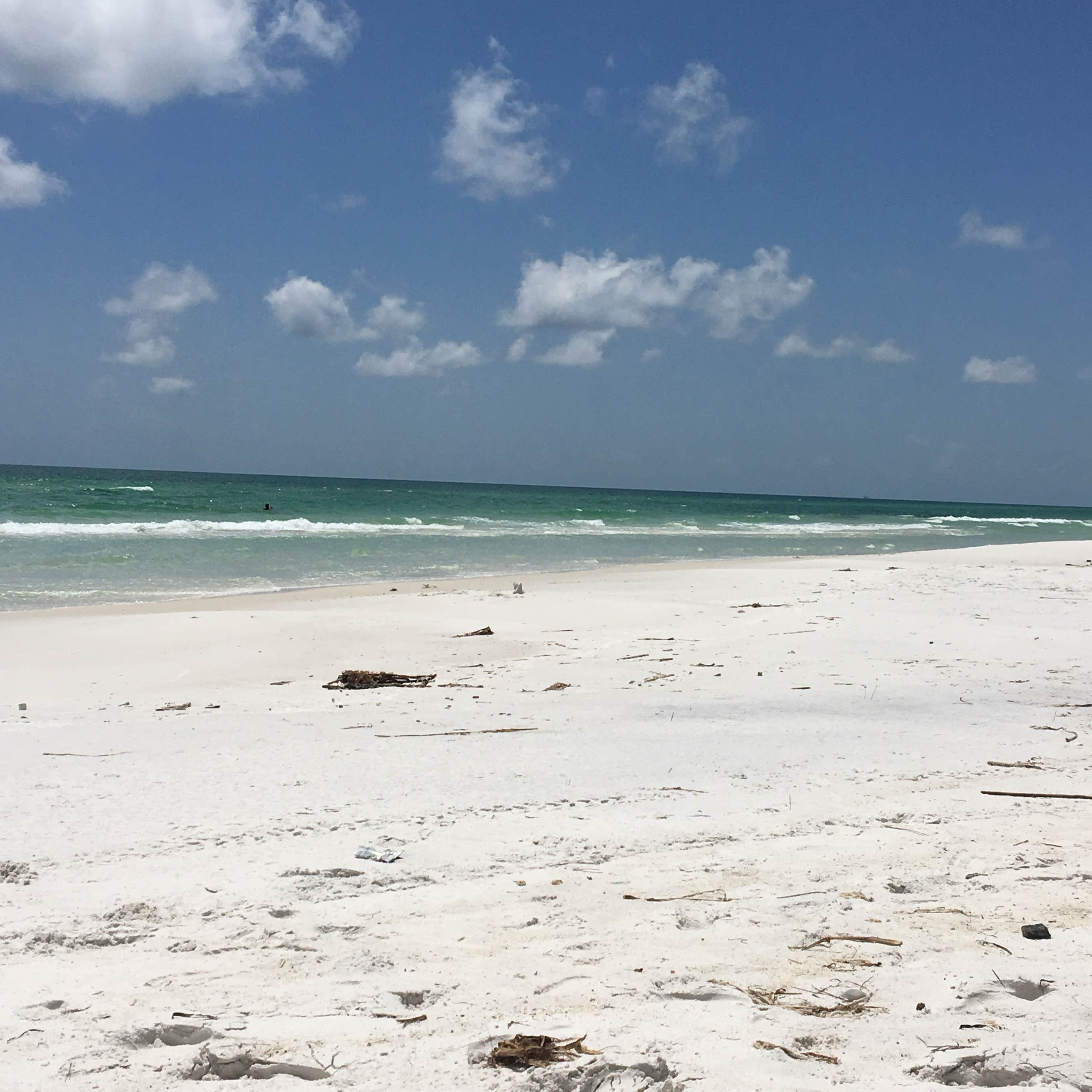 NSA Panama City FamCamp Southside Camping The Dyrt